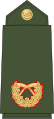 Brigadier general (Nepali: सहायक रथी, romanized: Sahaayak rathee) (Nepalese Army)[37]