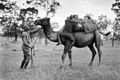 Army Camel Corp training