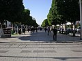 Street-level view of the Avenue.