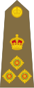 Colonel commandant