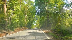 Puerto Rico Highway 119 in Aibonito barrio