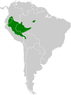 Distribución geográfica del hormiguero negro.