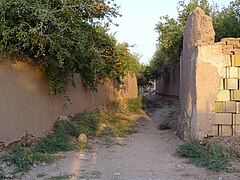 Grenadiers sur un chemin du village de Cham