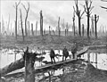 Image 8 Passchendaele Photo credit: James Francis Hurley Soldiers of an Australian 4th Division field artillery brigade on a duckboard track passing through Chateau Wood, near Hooge in the Ypres salient, October 29, 1917. The photo was taken in the vicinity of the Battle of Passchendaele, also known as the Third Battle of Ypres, which was one of the major battles of World War I. More selected pictures