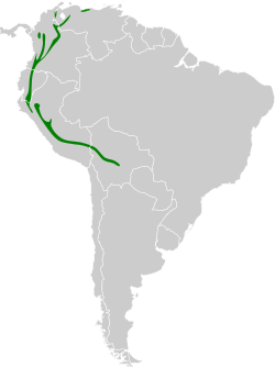 Distribución geográfica del pinchaflor enmascarado.