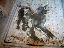 Cave canem mosaics ('Beware of the dog') were a popular motif for the thresholds of Roman villas