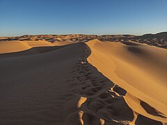 Dunes de Aïn Loussig, Mansoura.