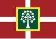 Vlag