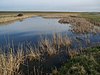 South Thames Estuary and Marshes