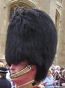 Bearskin de Coldstream Guards britannique.