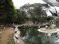 Etang des flamants et des tantales.