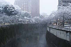 驹冢桥上所见的神田川。神田川右侧是关口一丁目、左侧是关口二丁目。后方茶色建物是椿山庄。