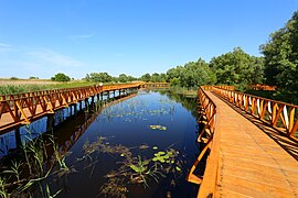 Kopački Rit Nature park.