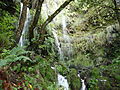 Levada do Caldeirão Verde