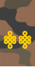 Mongolian Army-LTC-field 1998-2011