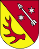 Żary County