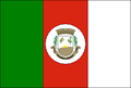 Bandeira de Saldanha Marinho