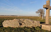 Menhir de Coullieu