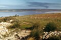 Lac salé (sebkha di Arzew, Algeria, 1975) (25 agosto 2017)