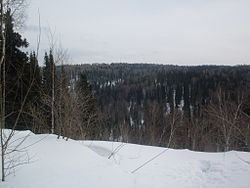 Snow precipice in Krapivinsky District, Kemerovo Oblast, Russia
