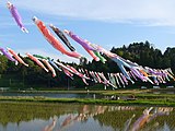 橘ふれあい公園（鯉のぼりまつり）