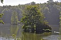 Der Kasteelvijver (Schlossweiher) in Tervuren