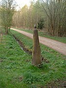 Promenade transfrontalière vers le Grand-Duché.