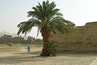 Medinet Habu grounds