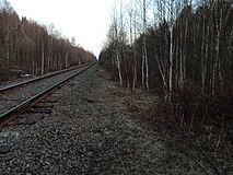 Разобранный боковой путь. Вид в сторону ст. Ильинская