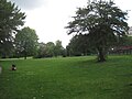 Windsor Open Space, Finchley