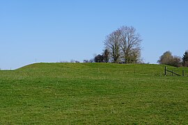 Le terril du puits de la Grille.