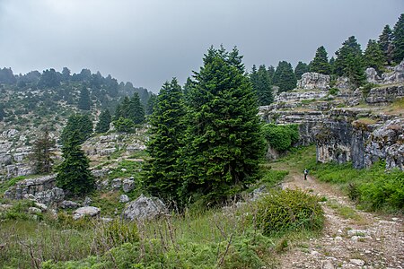 المُصَوِّر: Wissoinji