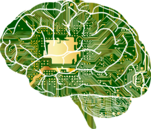 A circuit board represented as a human brain