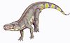 Artist's reconstruction of Batrachotomus.