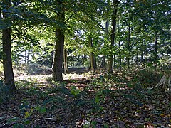 Burgstallberg I. Grosses nördliches Burgstallplateau.