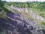 Rocky barren landscape with some trees in the background