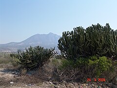 Valle de Tasquillo.