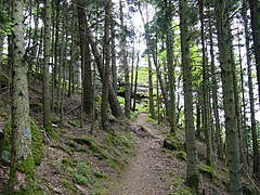 Vue sur le sommet du Chalmont depuis le sentier.