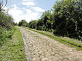 Chemin pavé.