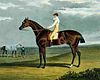 Painting of Ebor by John Frederick Herring