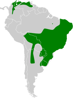 Distribución geográfica del tiranuelo copetón.