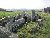 Knockergrana Court Tomb