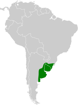 Distribución geográfica del curutié ocráceo.