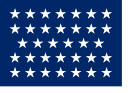 Seventeenth US naval jack, 1861-1863