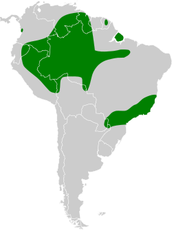 Distribución geográfica del nictibio colilargo.