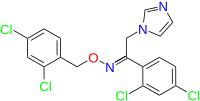 Image illustrative de l’article Oxiconazole