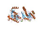 2cjw: CRYSTAL STRUCTURE OF THE SMALL GTPASE GEM (GEMDNDCAM) IN COMPLEX TO MG.GDP