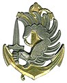 Insigne de béret des parachutistes des troupes de marine