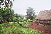 Paya: une des rares communautés Guna (ou Kuna). Darien. Grande case réservée aux grands évènements civiques et rituels. 1996