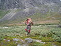 Hunter carrying reindeer meat.